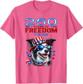 USA 250th Anniversary Celebrate Cool Patriotic Border Collie T-Shirt - Pink Heather