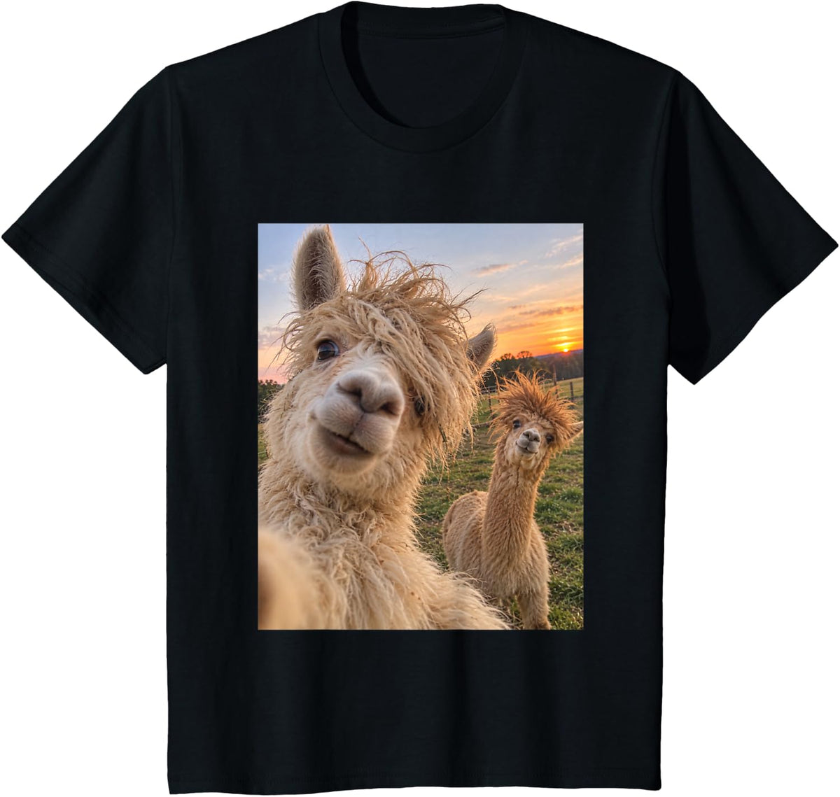 Funny Alpaca Bad Hair Day Fluffy Farm Animal Humor T-Shirt - Black