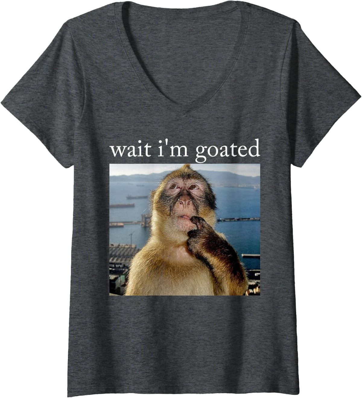 Women's Wait I'm Goated Funny Monkey Sarcastic Viral Meme V-Neck T-Shirt - Dark Heather Grey